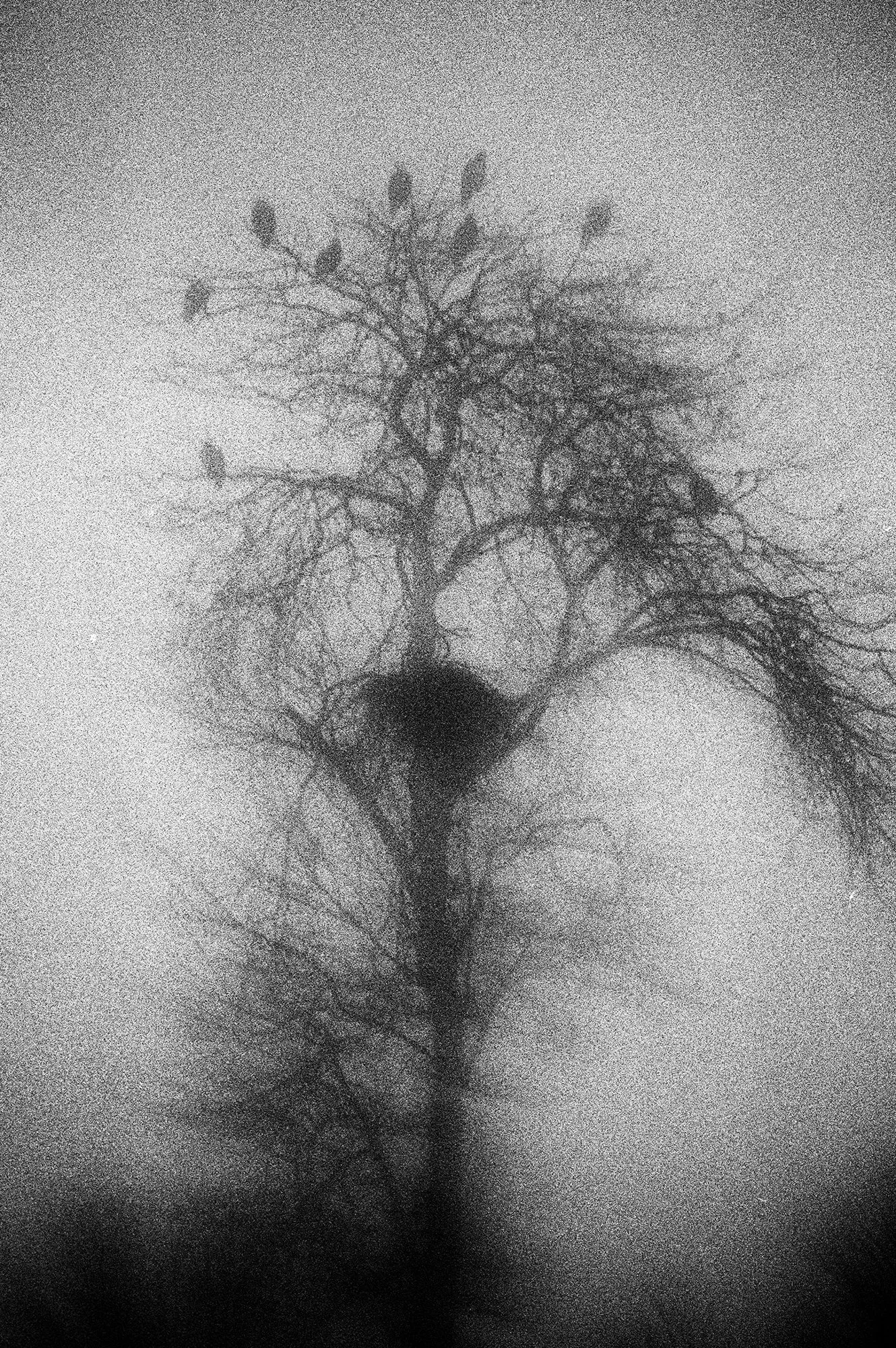 Blank Notes 16 copy.jpg