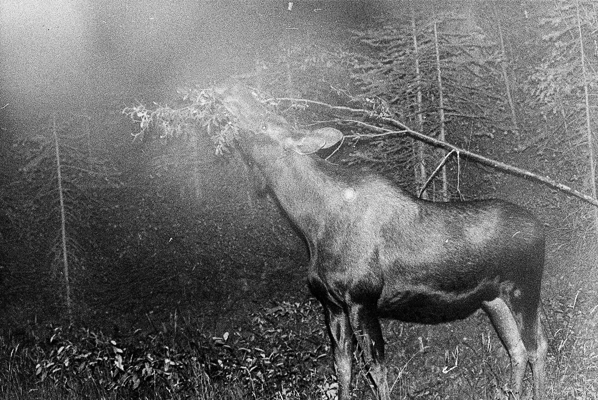 Blank Notes 06 copy.jpg