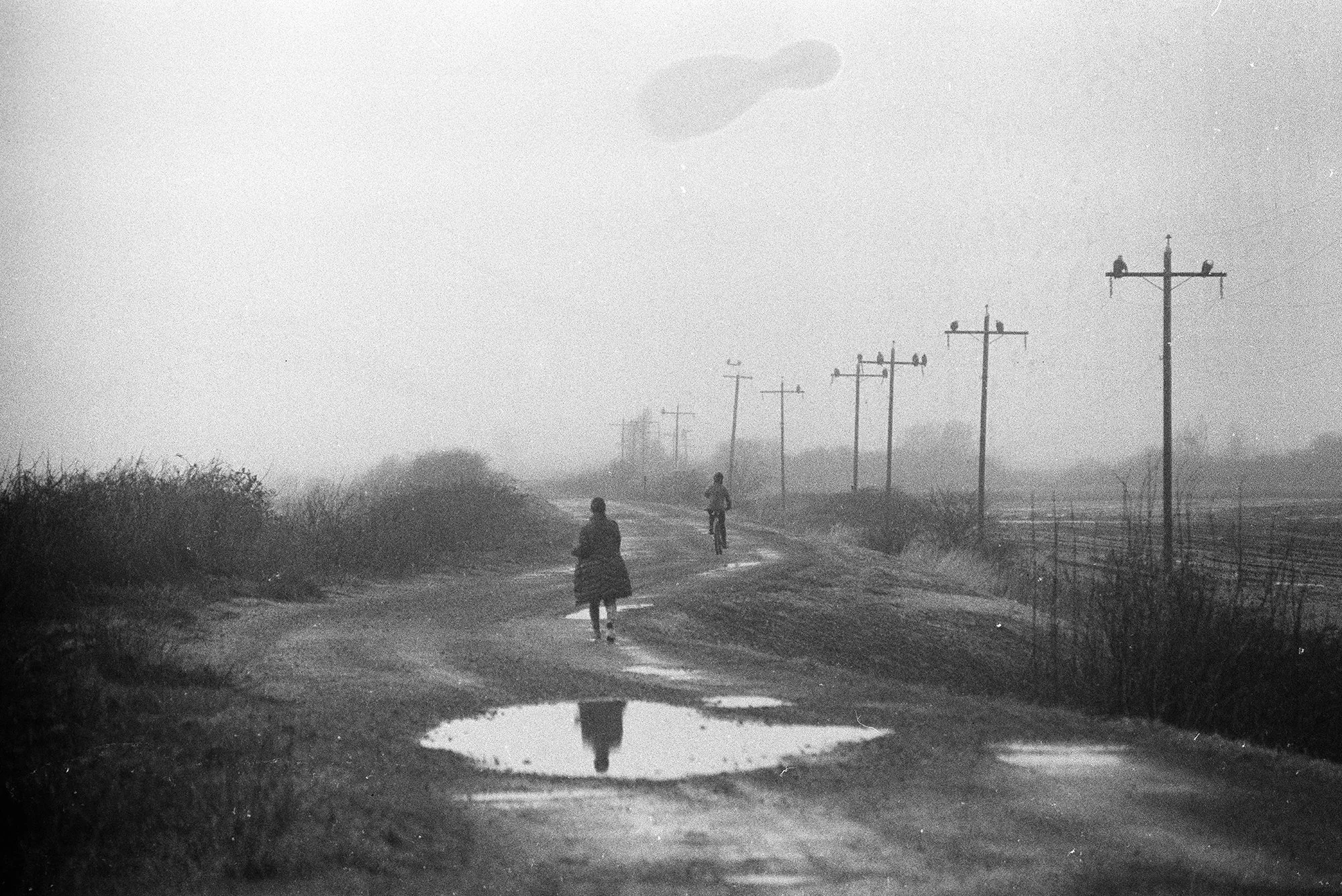 Blank Notes 02 copy.jpg