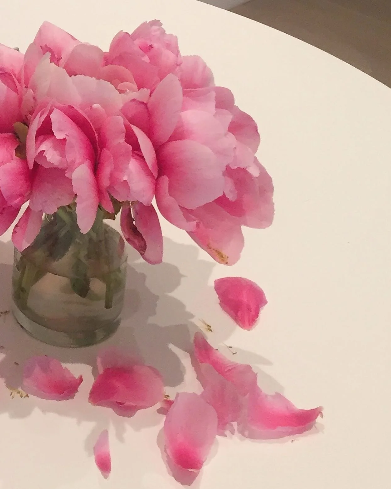 #color #colorofnature #flowers