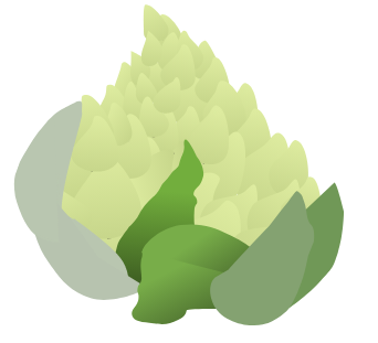 illustration - romanesco.png