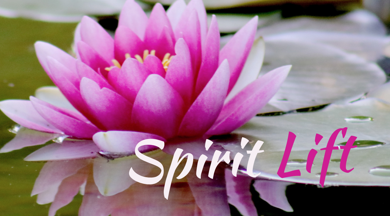 Screen Shot 2020-12-26 at 12.18.51 PM.png