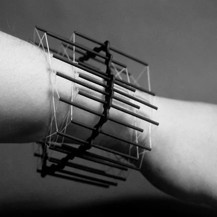 Wrist Expansion 12 - 2006