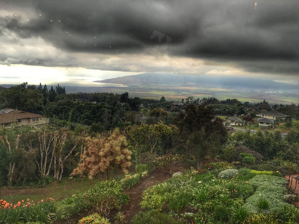 Central Maui Valley