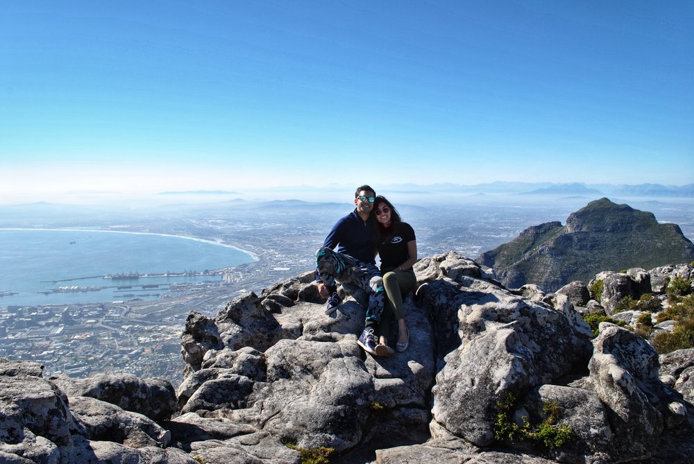 Table Mountain overlooking Harbor