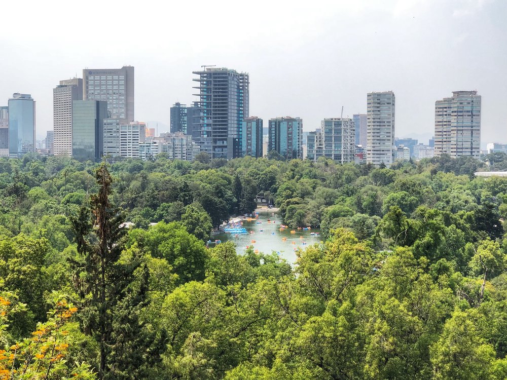 Lago Menor @ Bosque de Chapultepec