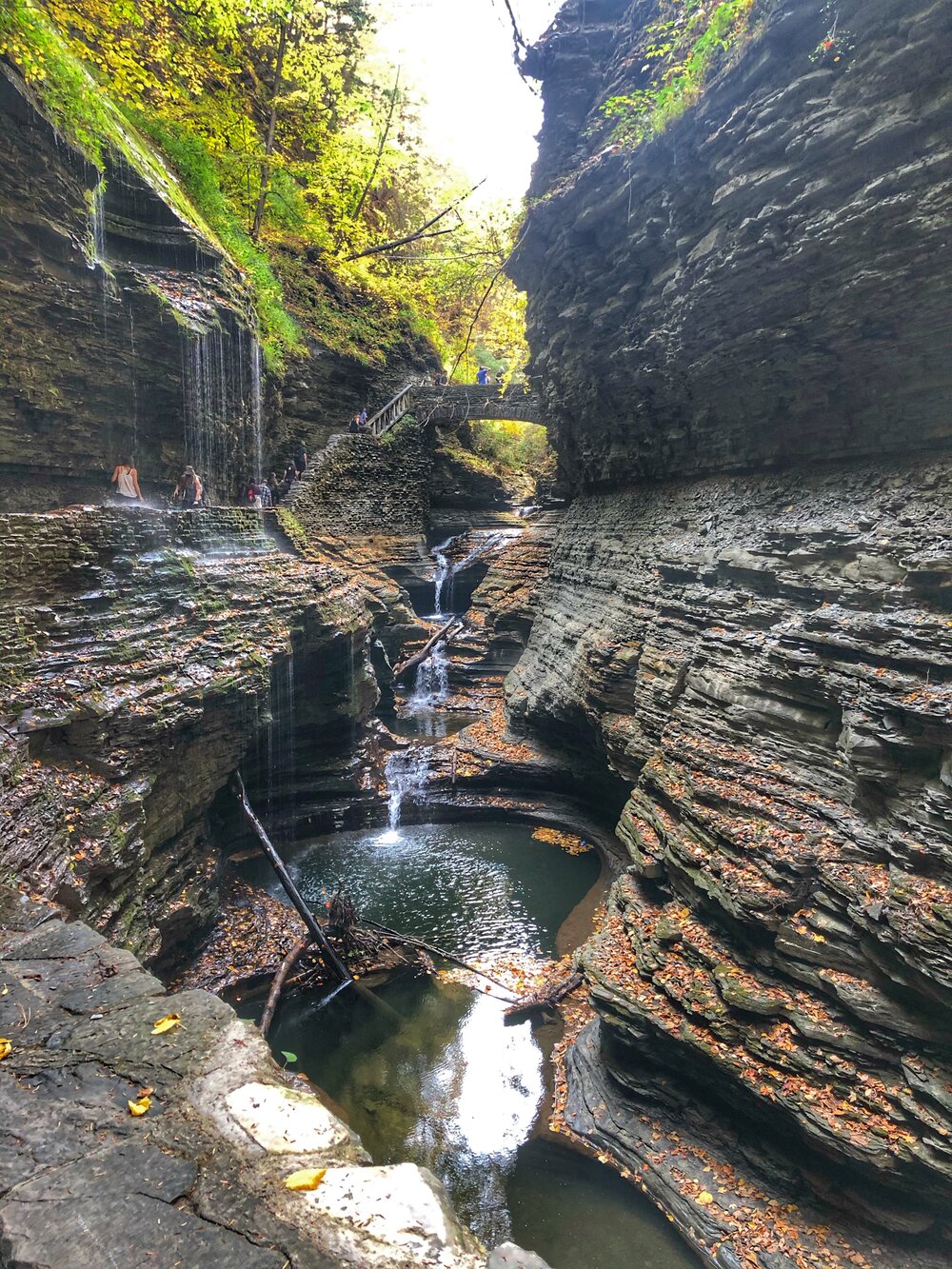 Watkins Glen State Park