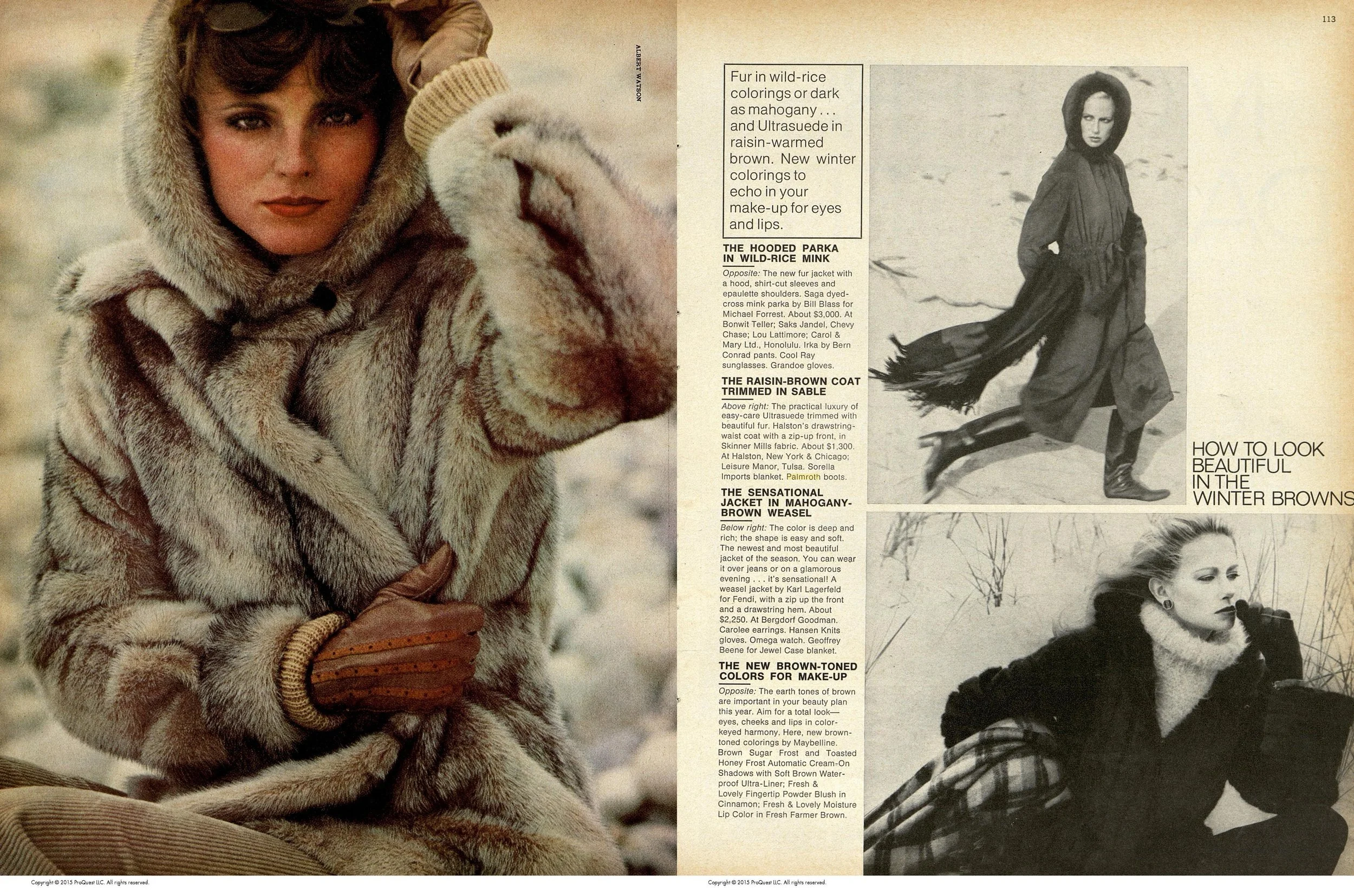 harpersbazaar_oct1976albertwatson.jpg