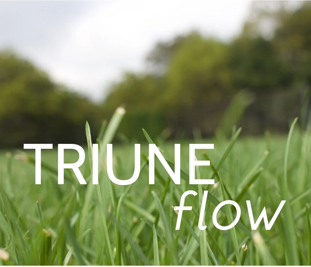 TRIUNE+Flyer.jpg