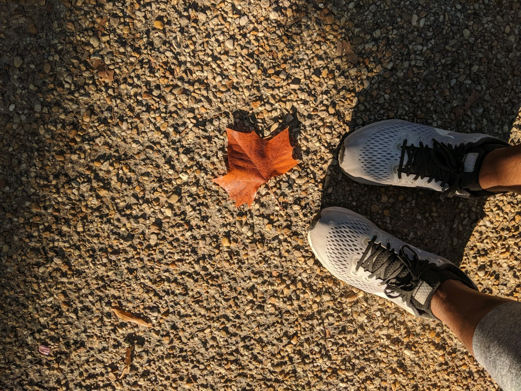 Photo by Kiana Bosman on Unsplash