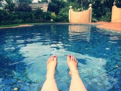 No centipede like creatures left in the pool!