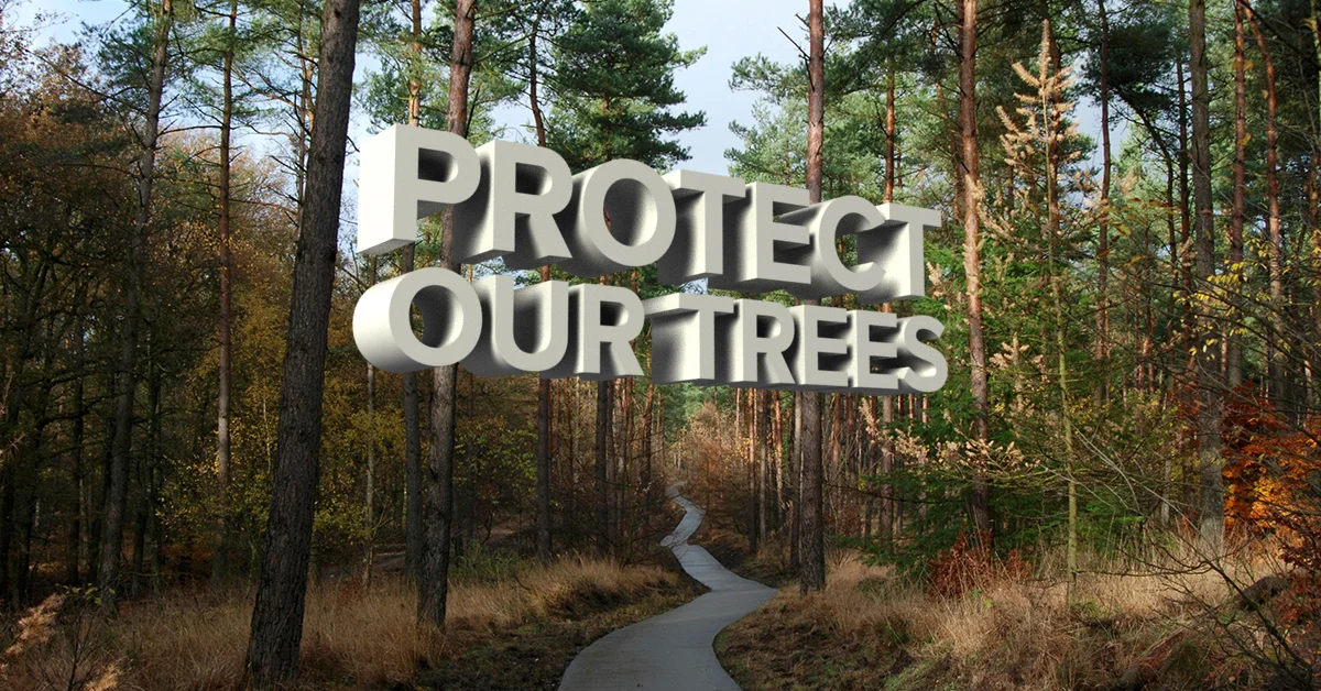 Protect_Our_Trees.jpg