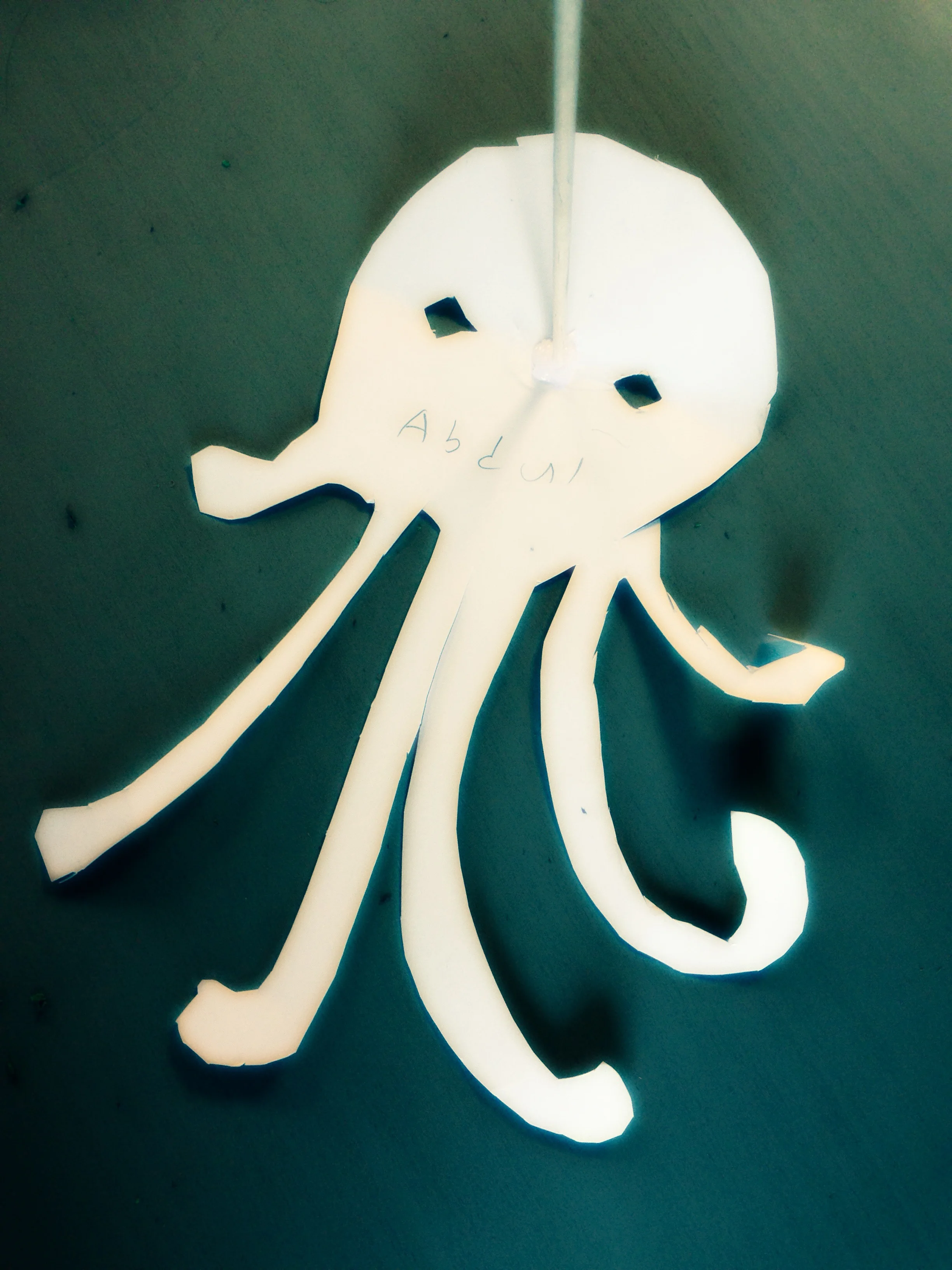 shadow octopus.jpg