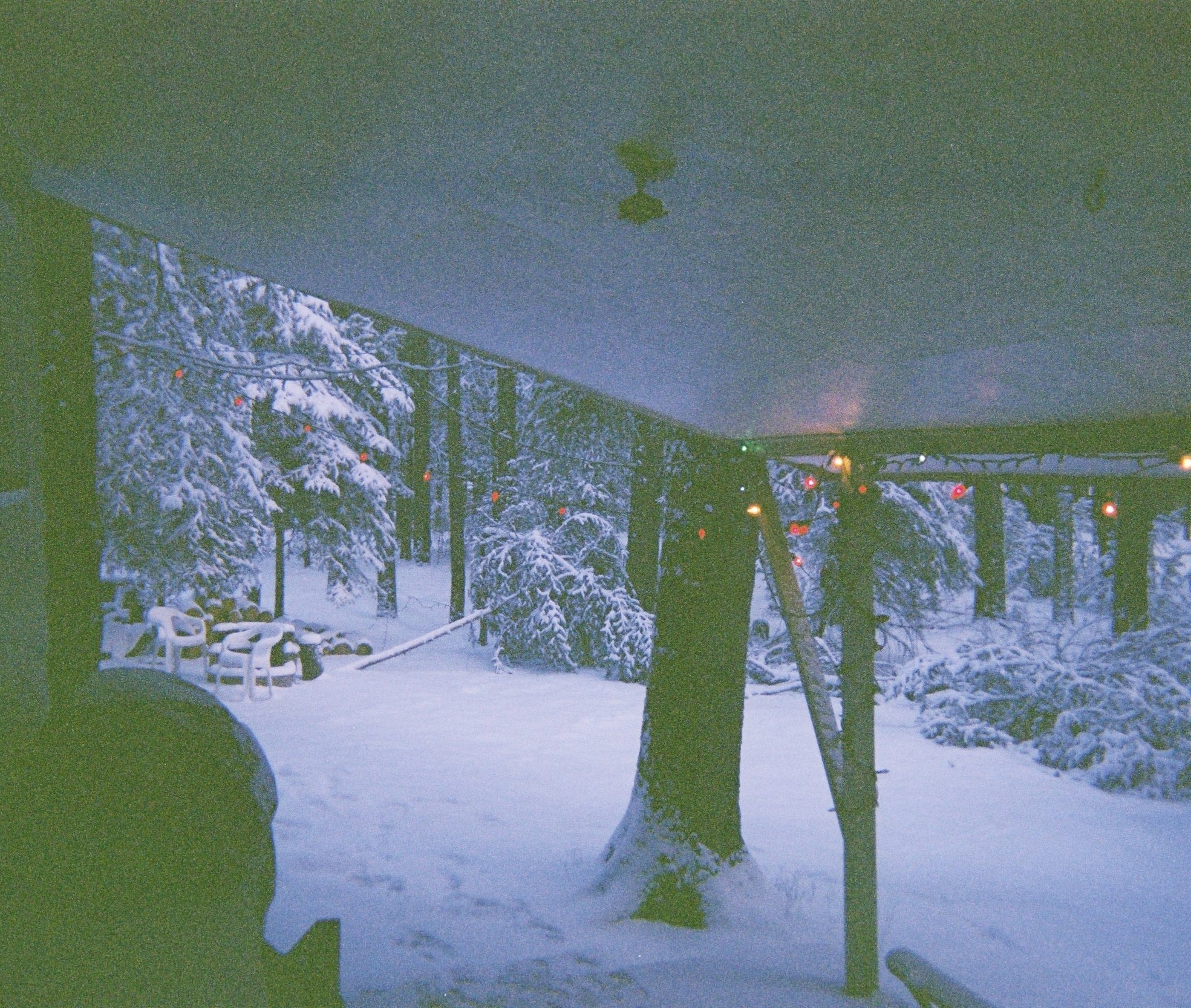 26460028.jpg