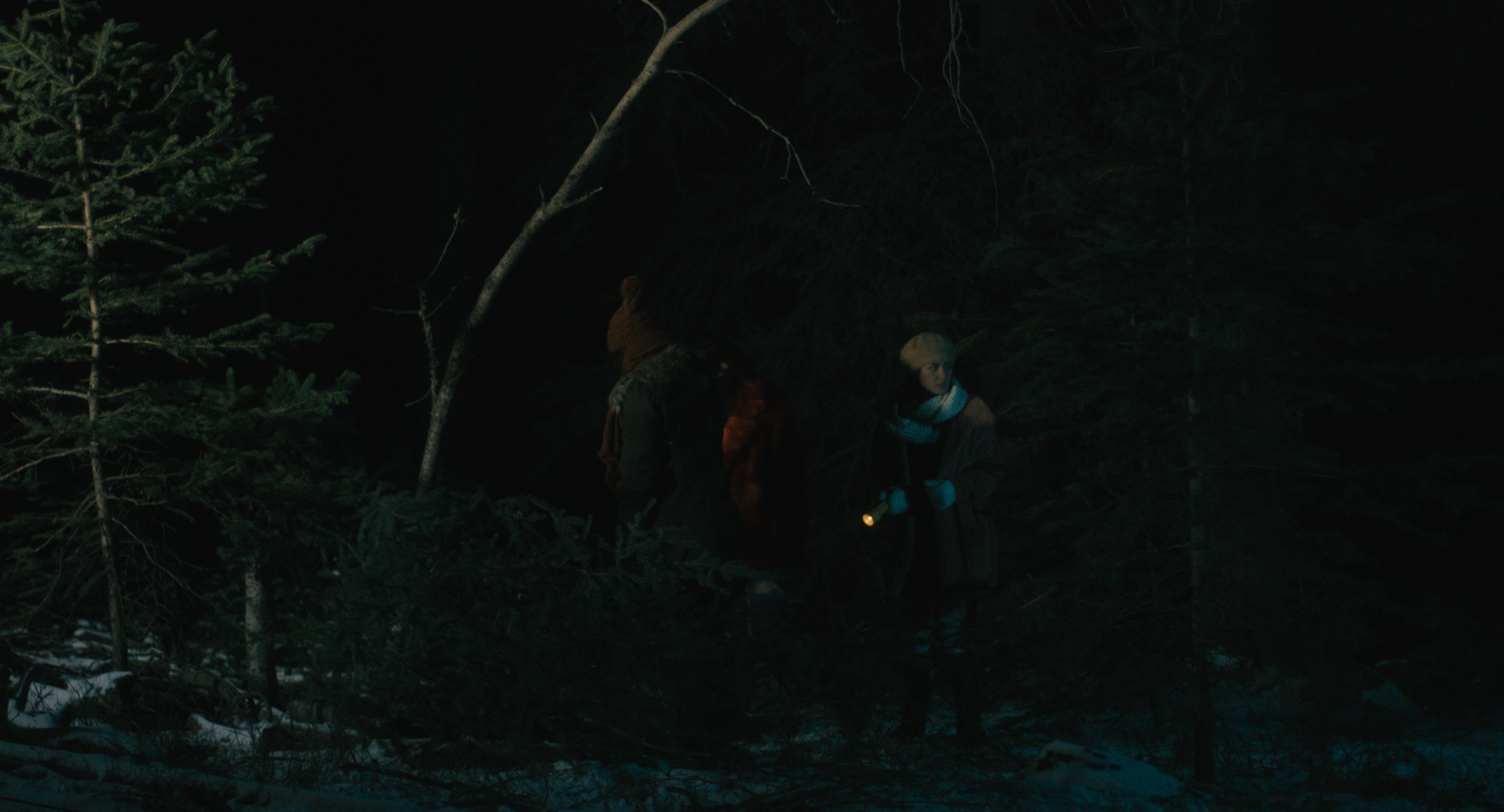 The woods.