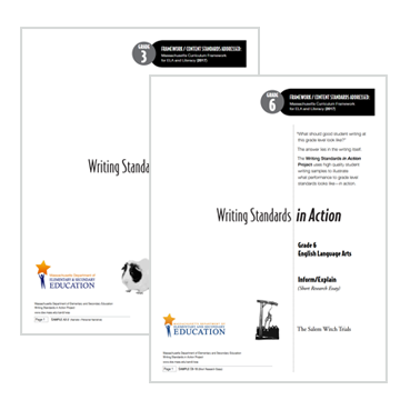 Writing Standards in Action