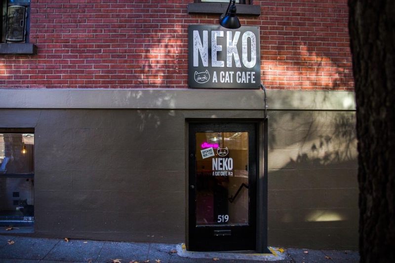 Neko Cat Cafe: Custom Business Sign