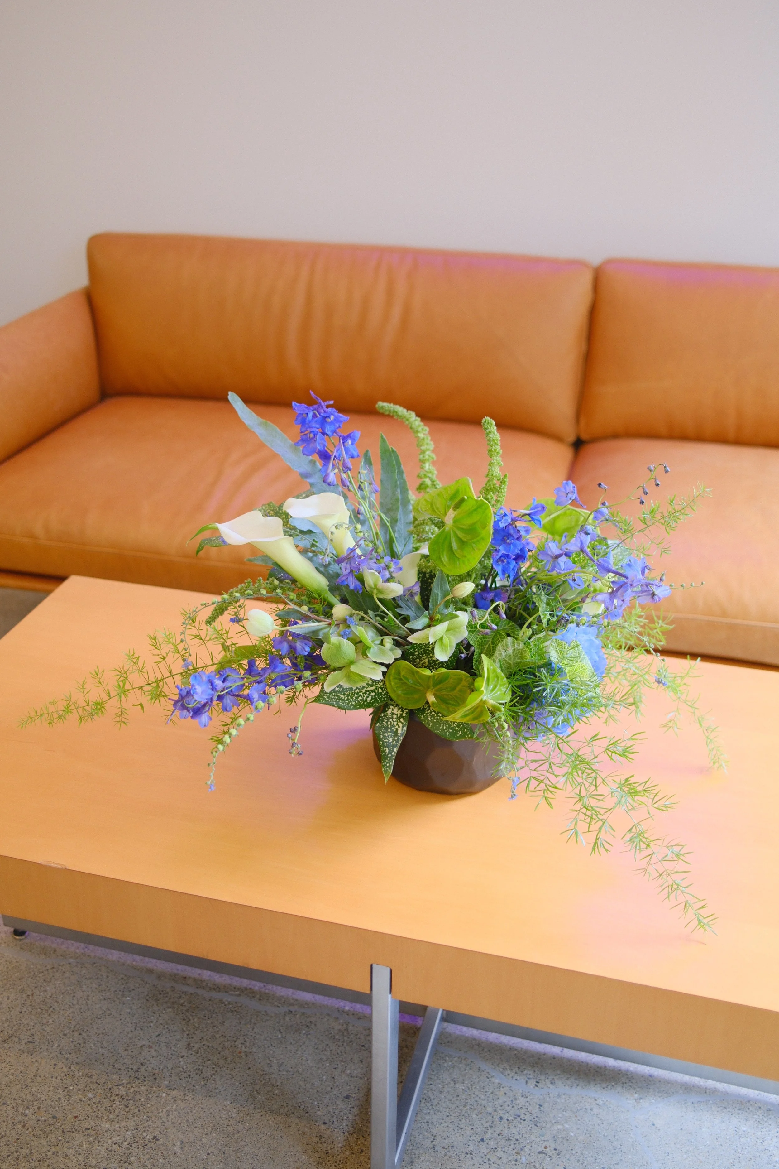 DSCF3801 2.JPG