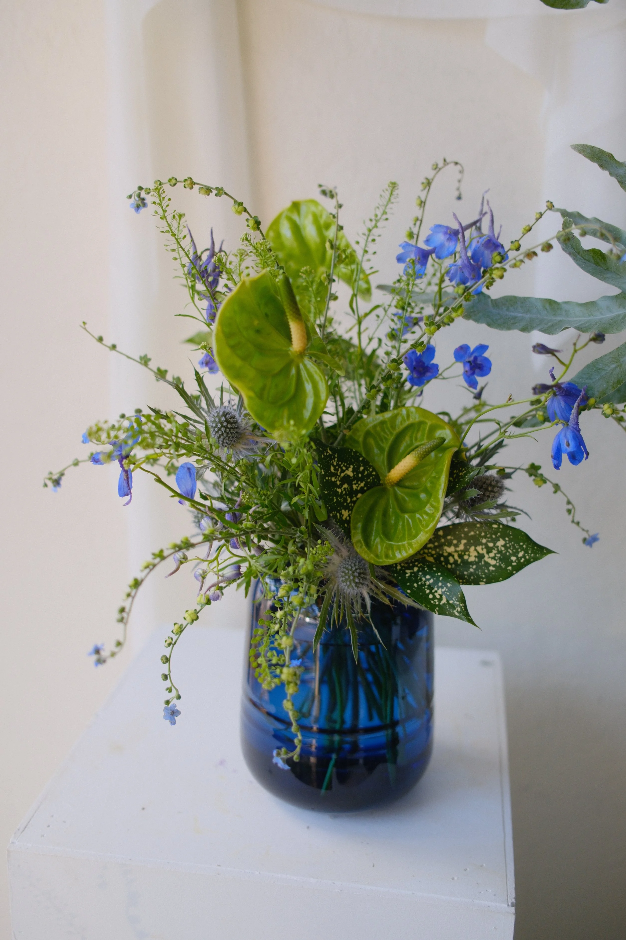 DSCF3758 2.JPG