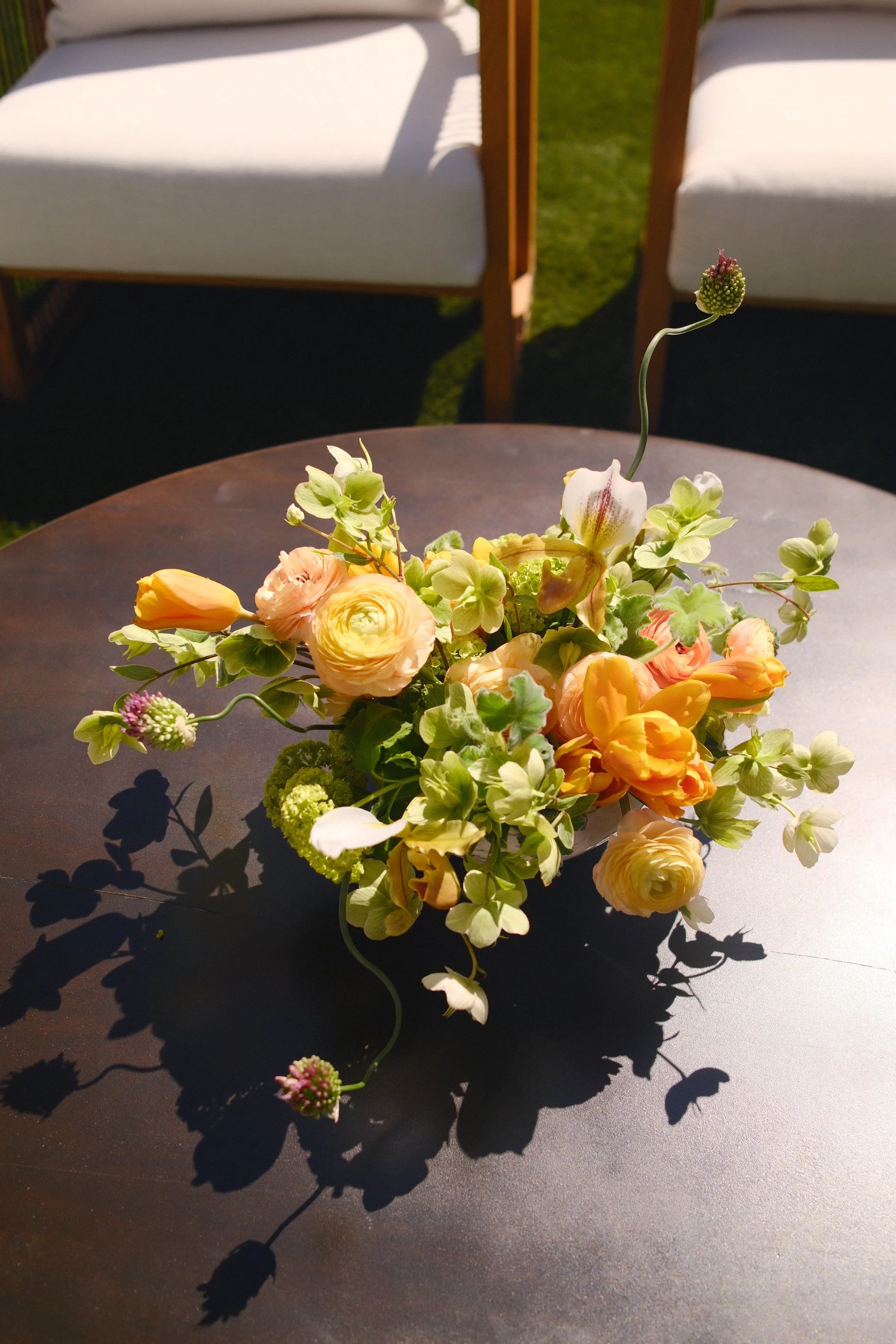 DSCF5145.JPG