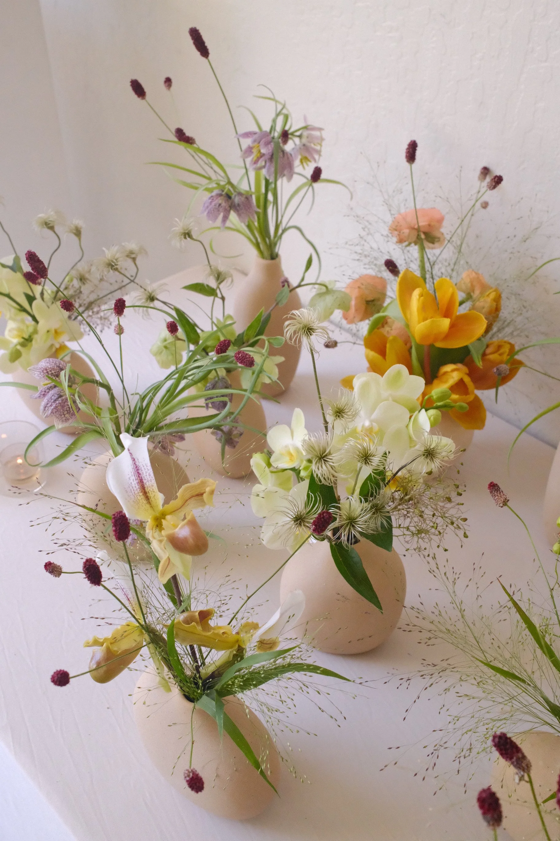DSCF5076.JPG
