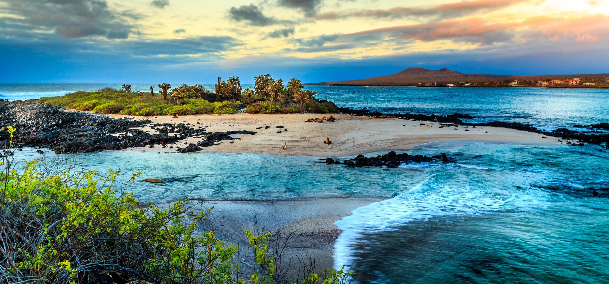 galapagos-island-shelly-kwiatkouski.jpeg