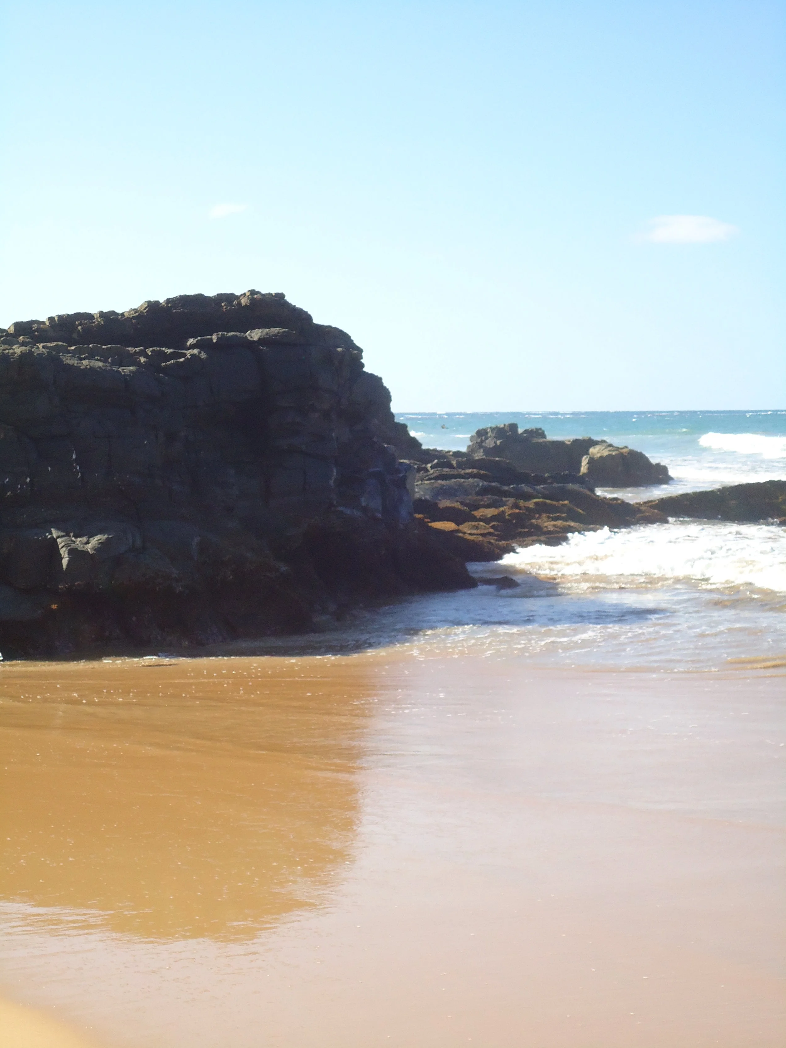 Exploring Puerto Rico - El Yunque Rainforest, Luquillo Beach and Bio-bay