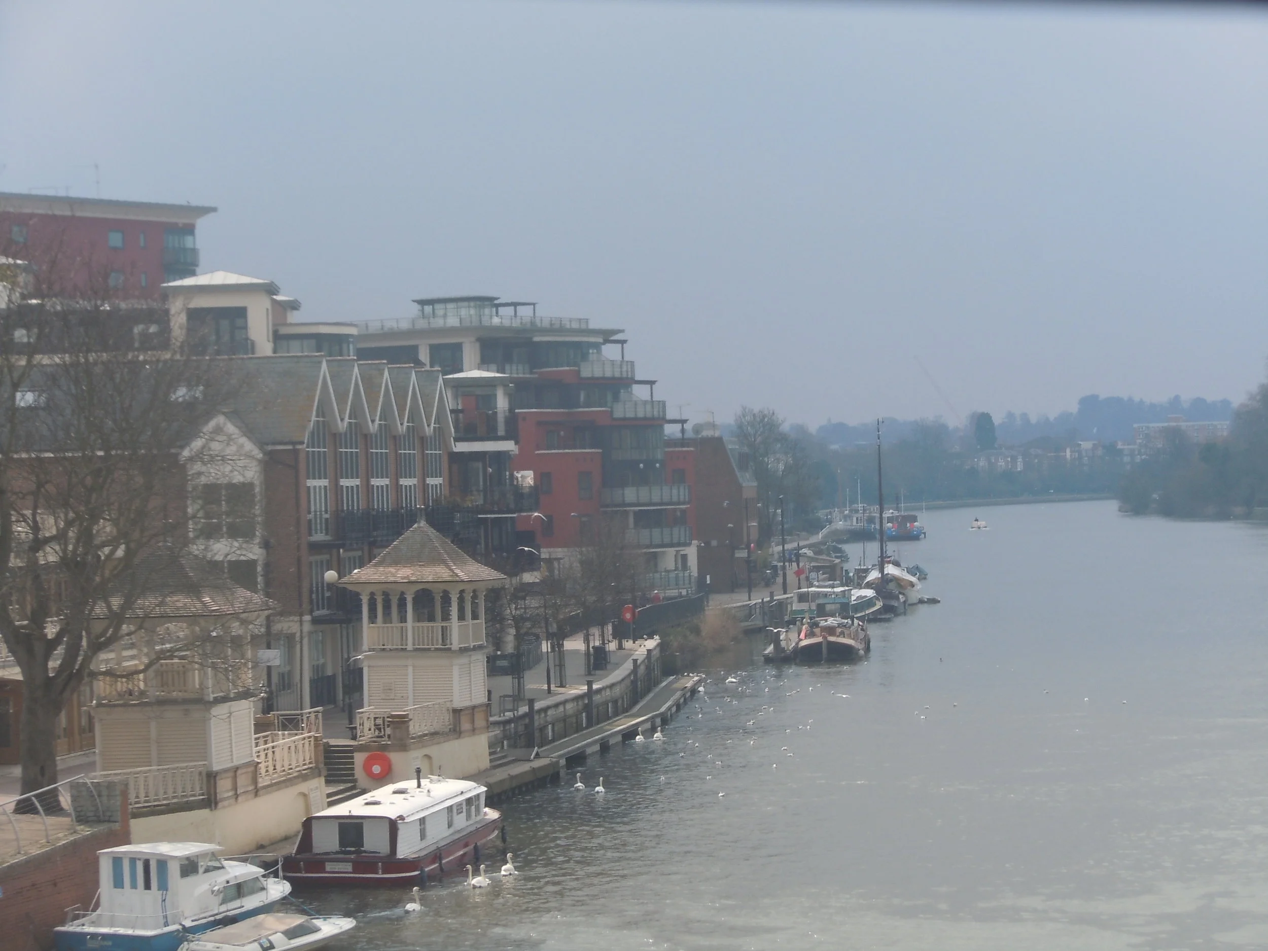 'Falling In Love With Kingston'