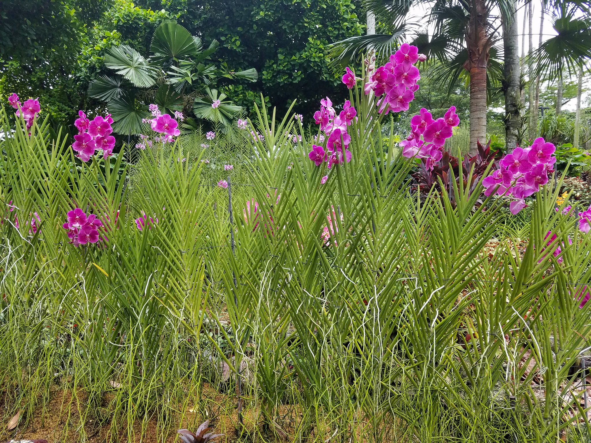 20170623_173927.jpg