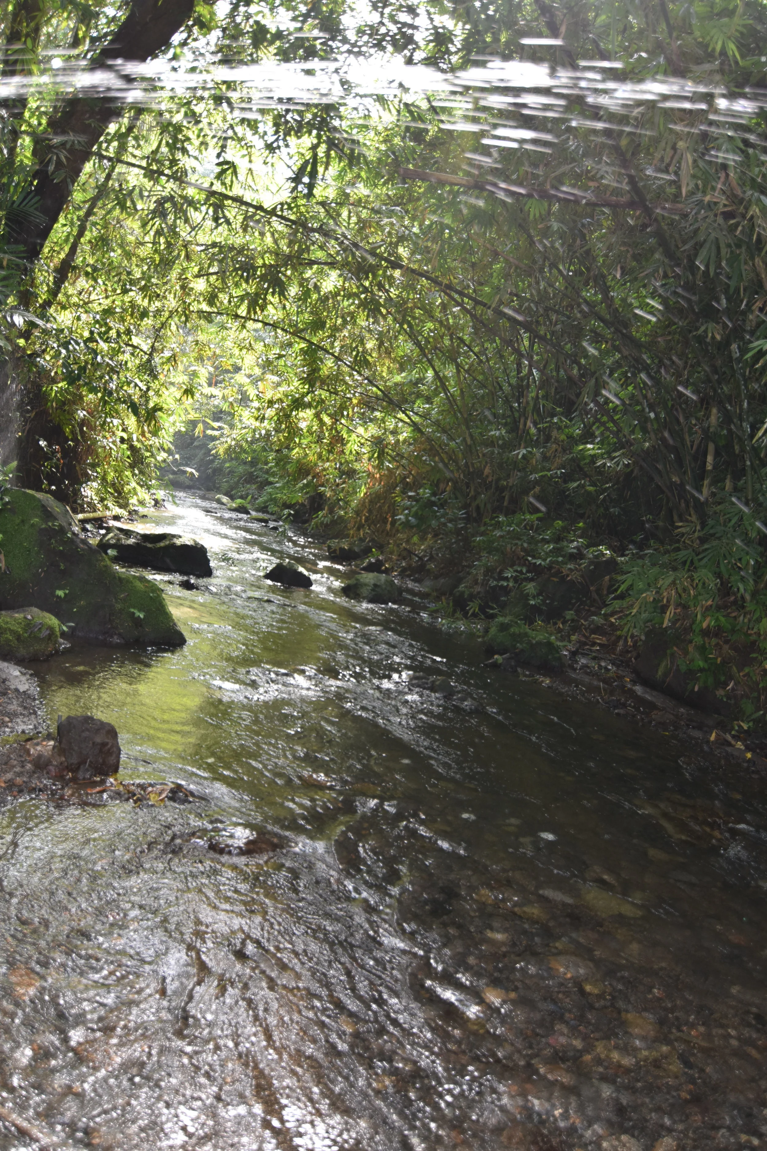 DSC_0004.JPG