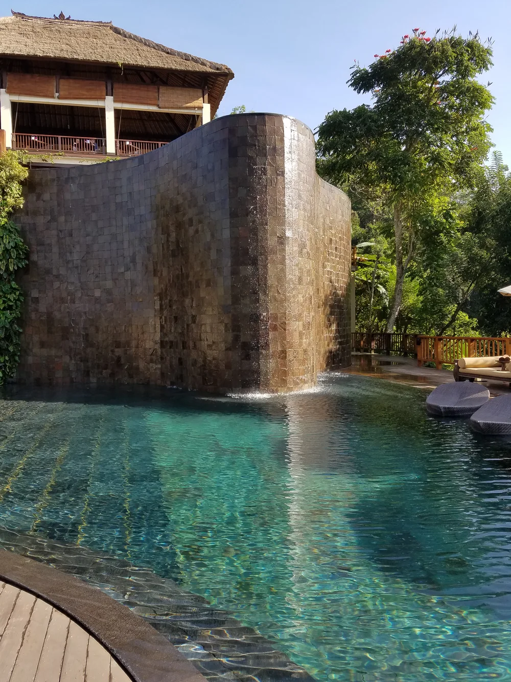 20170702_084319.jpg