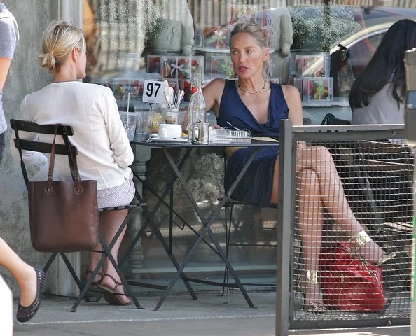 Sharon+Stone+Sharon+Stone+Lunch+Joan+Third+REQhawonfDKl.jpg