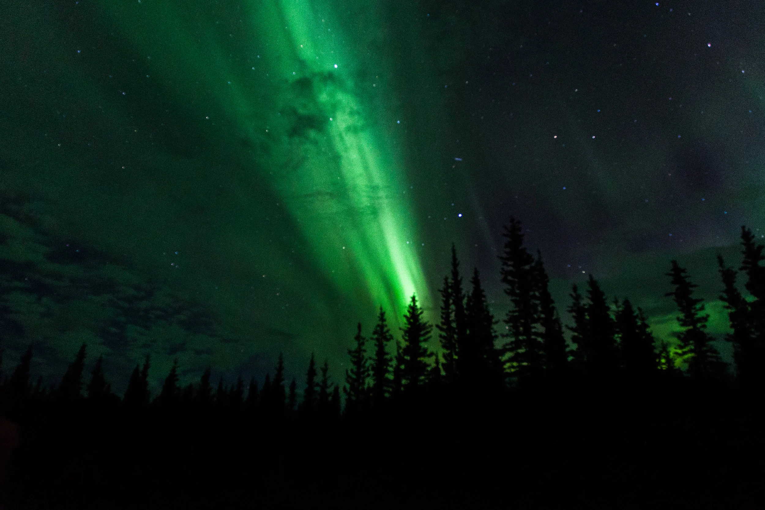 alaska -0942 - Copy.jpg