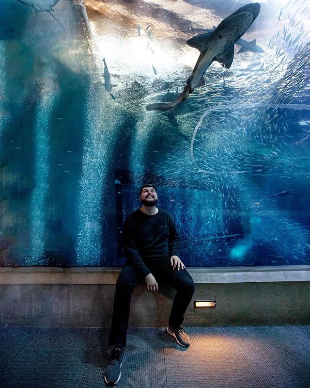 Under The Sea 🌊