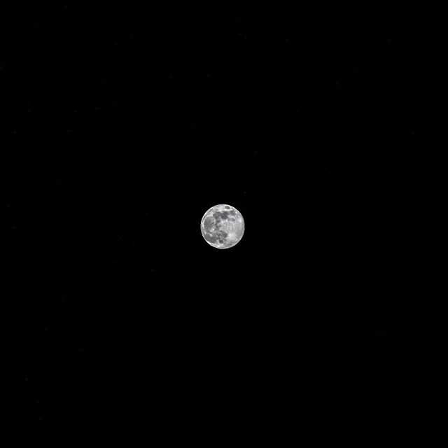 The moon was pretty super last night. #supermoon
