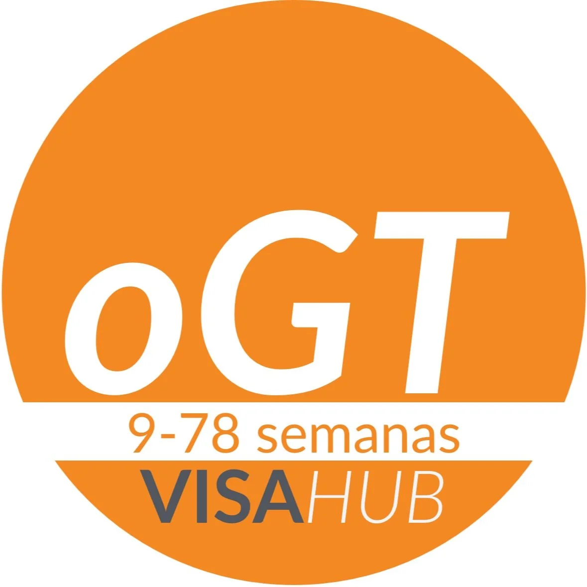 VISA HUB — BAZI Hub