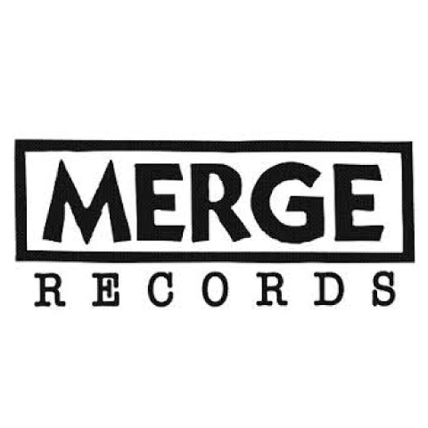 LOGO-merge-records.png