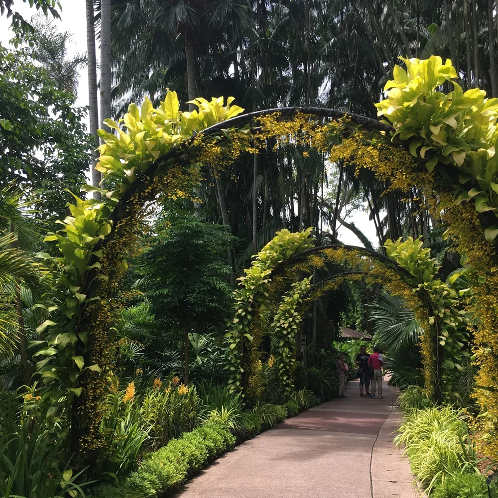 Singapore Botanical Gardens