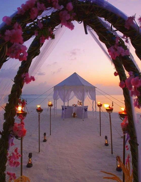 Inspiration for reception