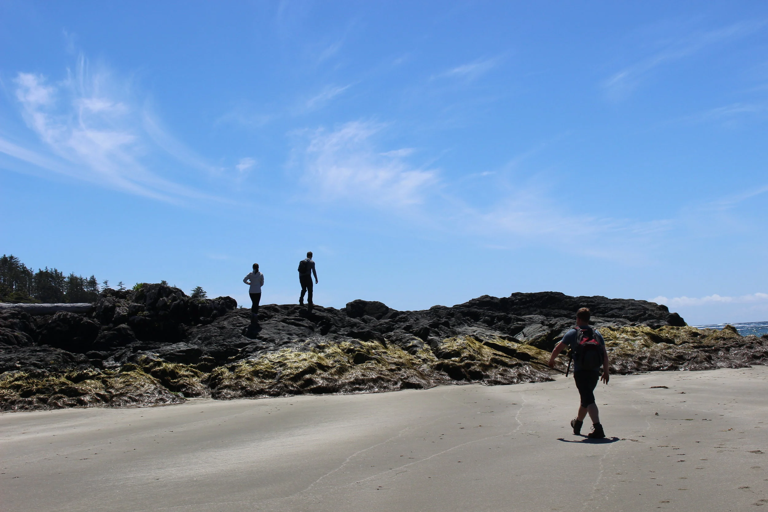 Time to explore the beach