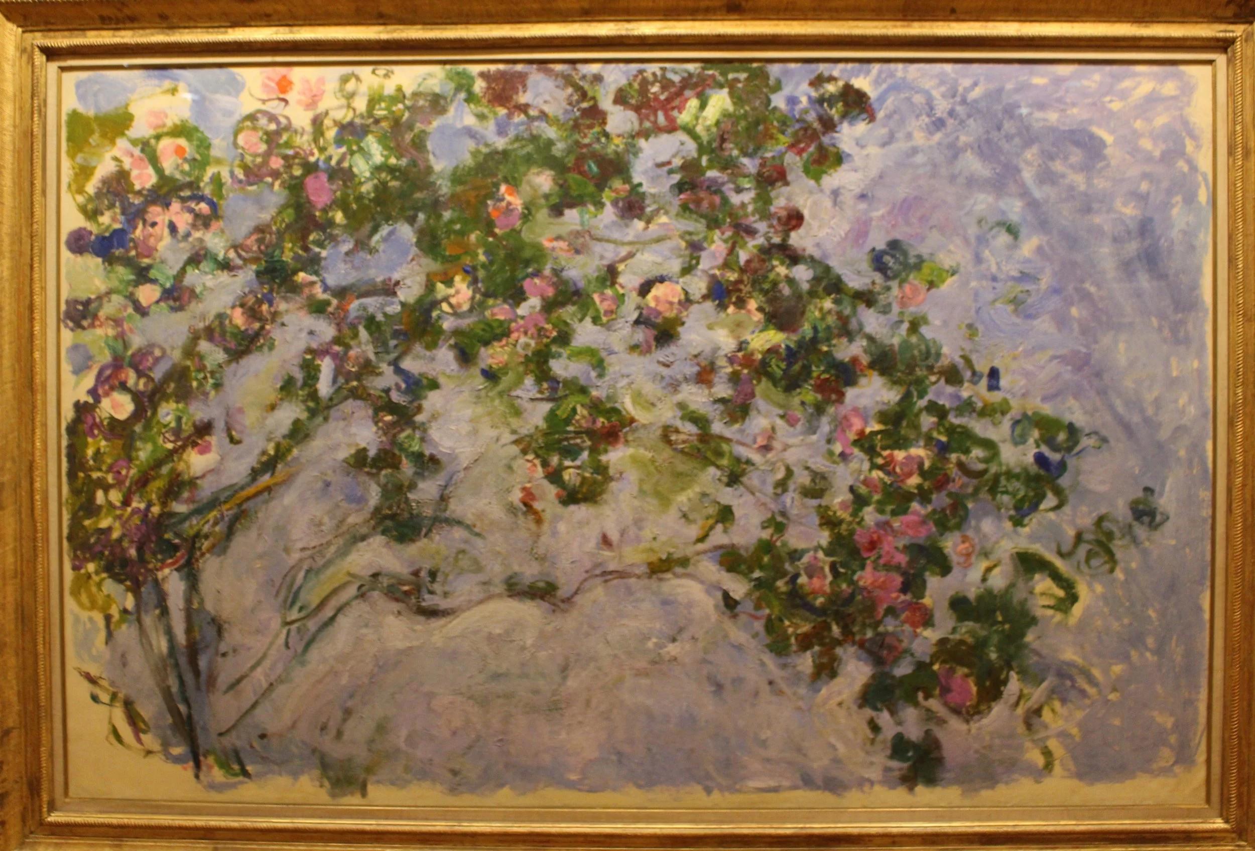 The Roses, 1925-1926 