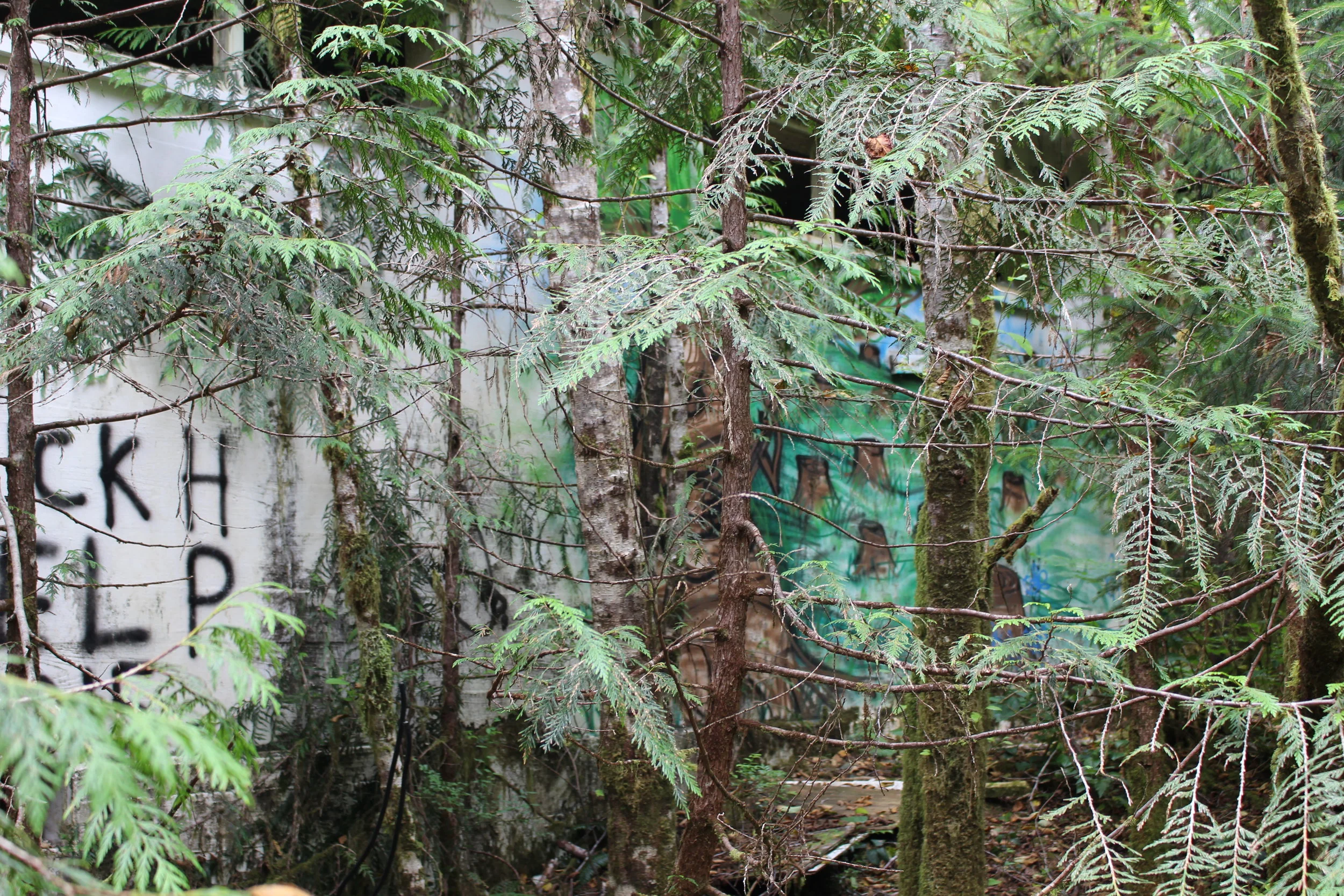 The destroyed building you go through to continue on the trail