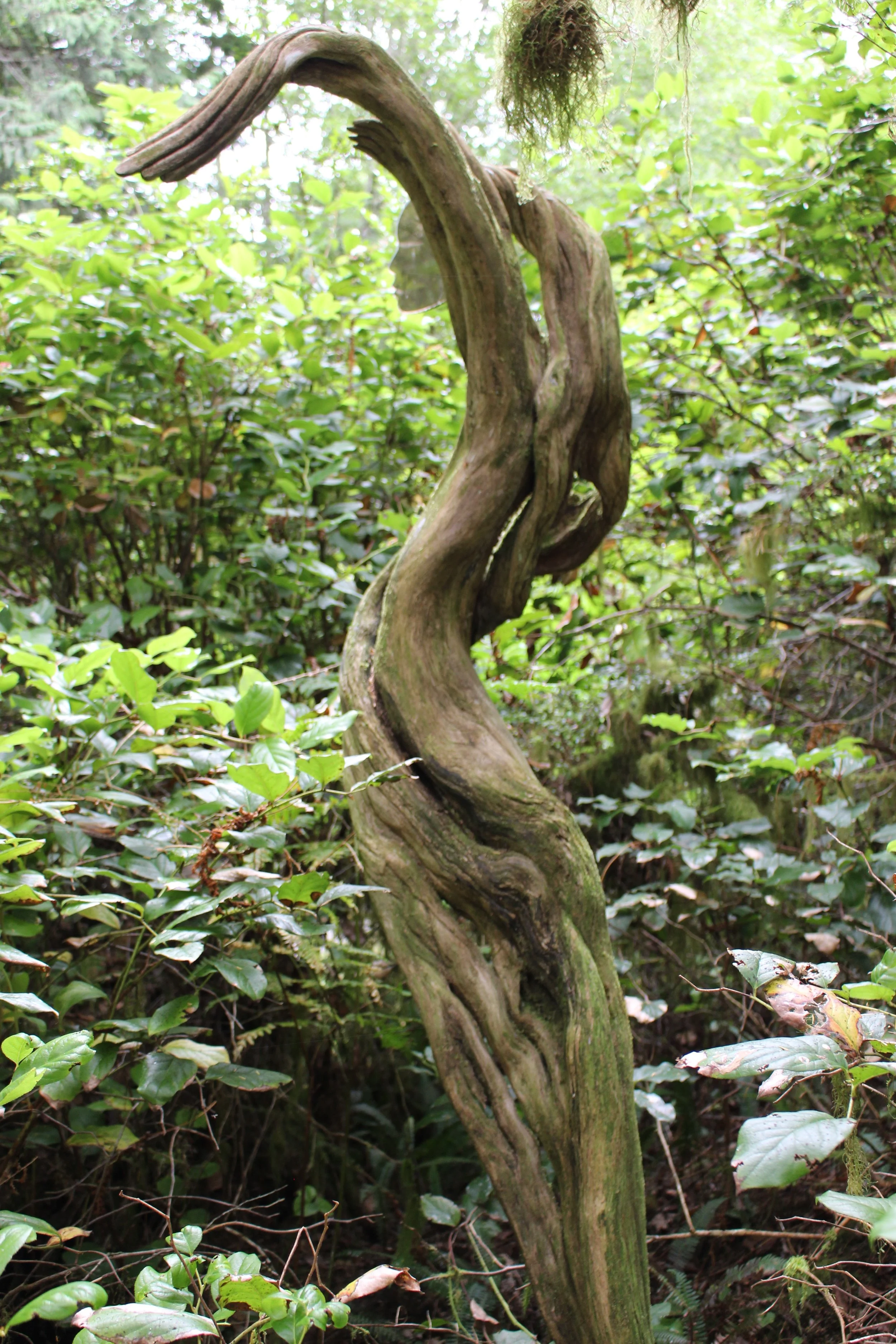Modern art can be found around the gardens