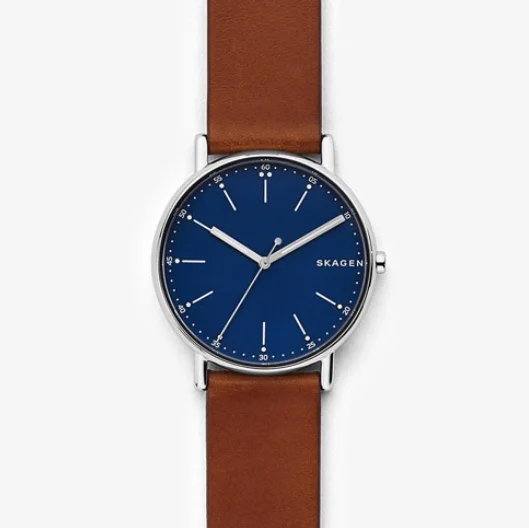 SKAGEN , Signatur Leather Watch, $125