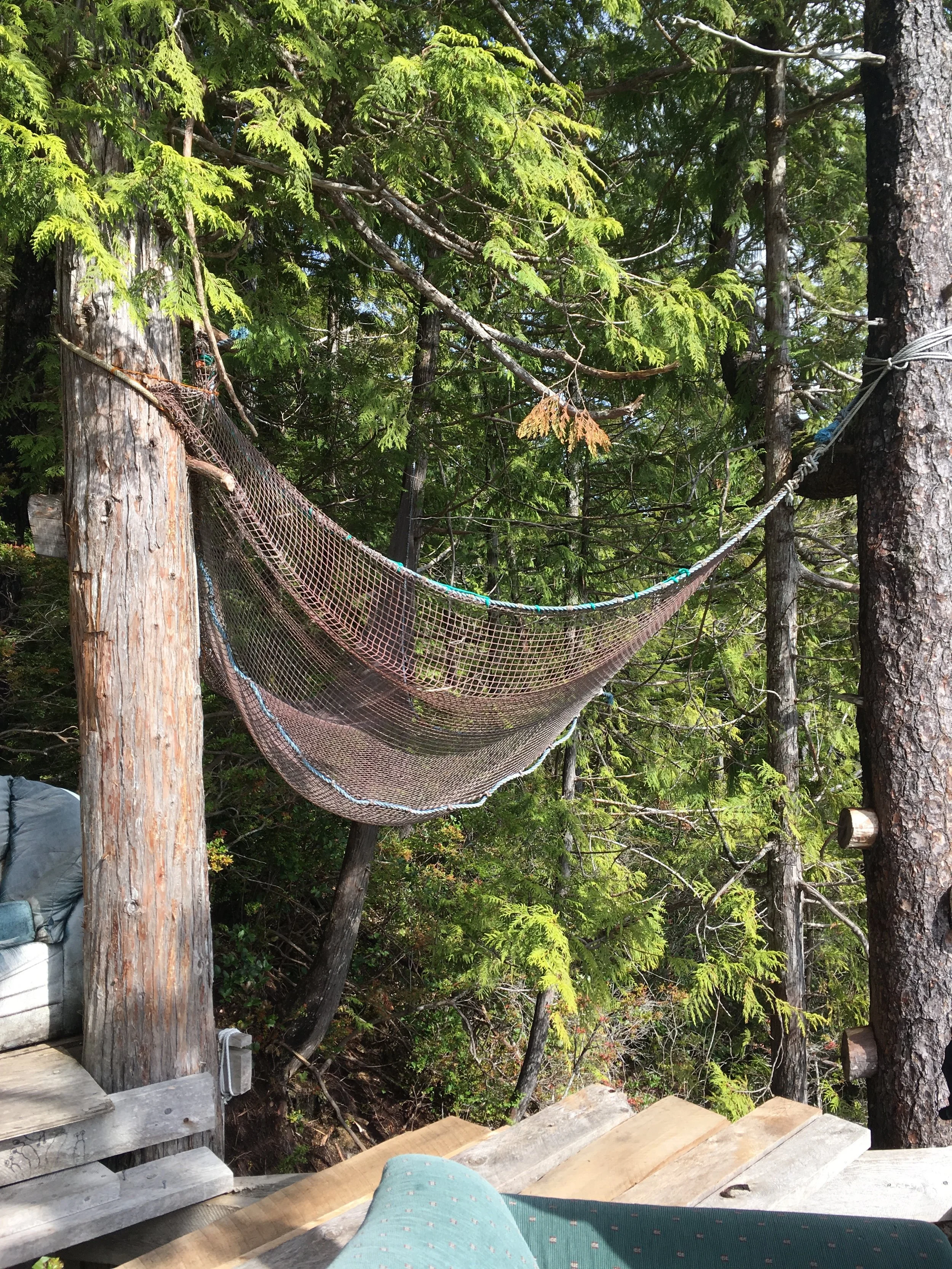 'The hammock'