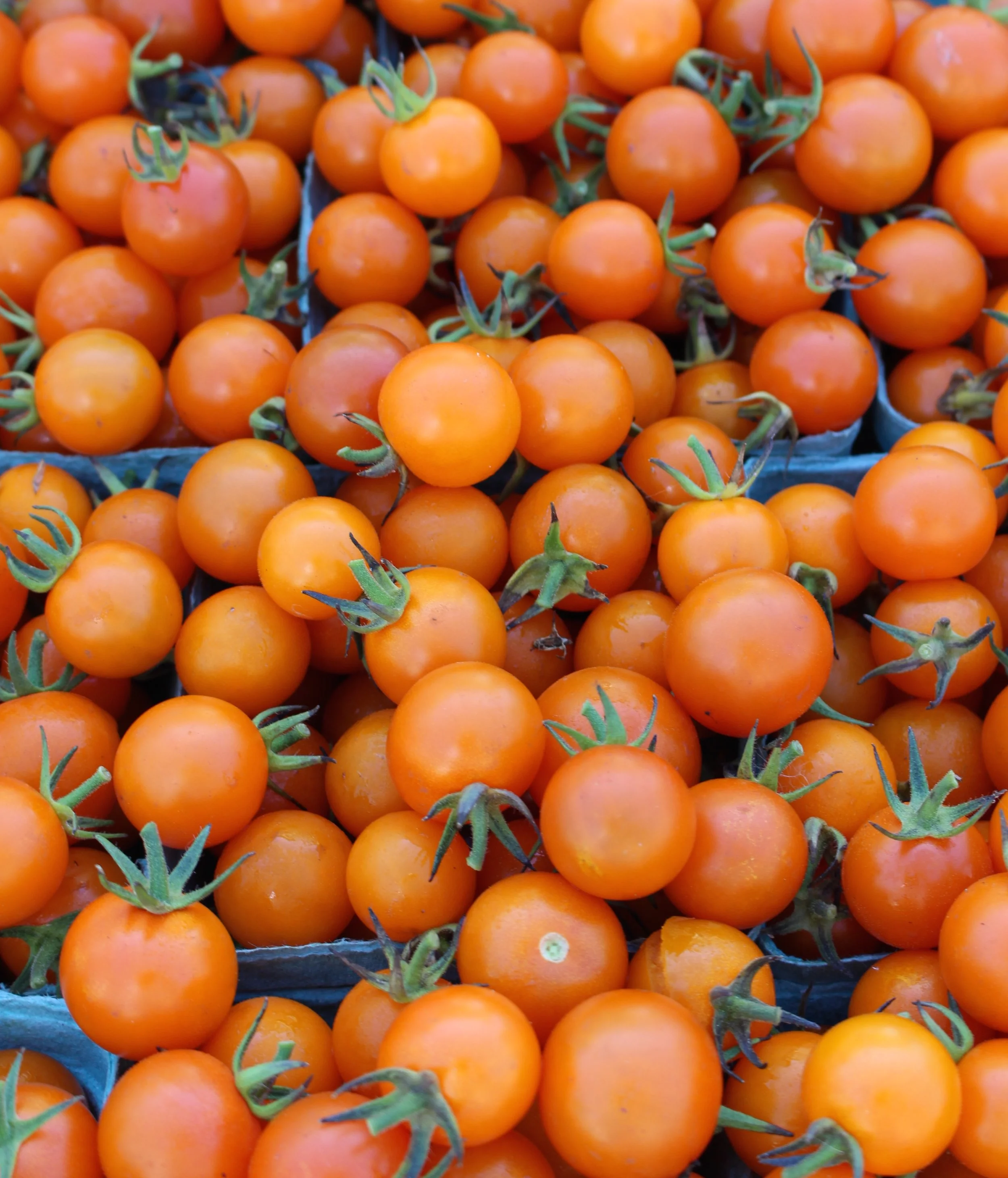 Perfectly sweet cherry tomatoes