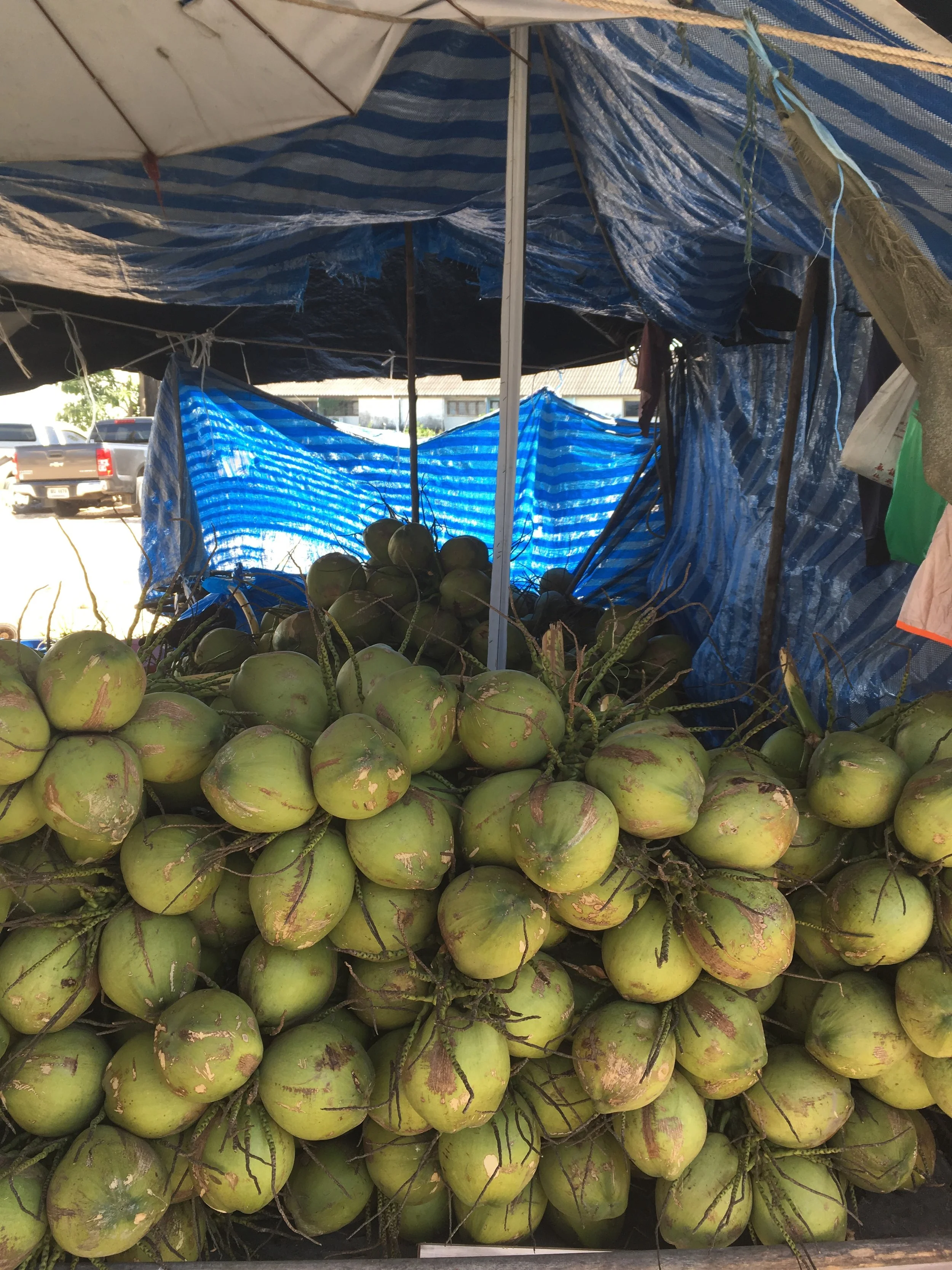 Coconuts were everywhere