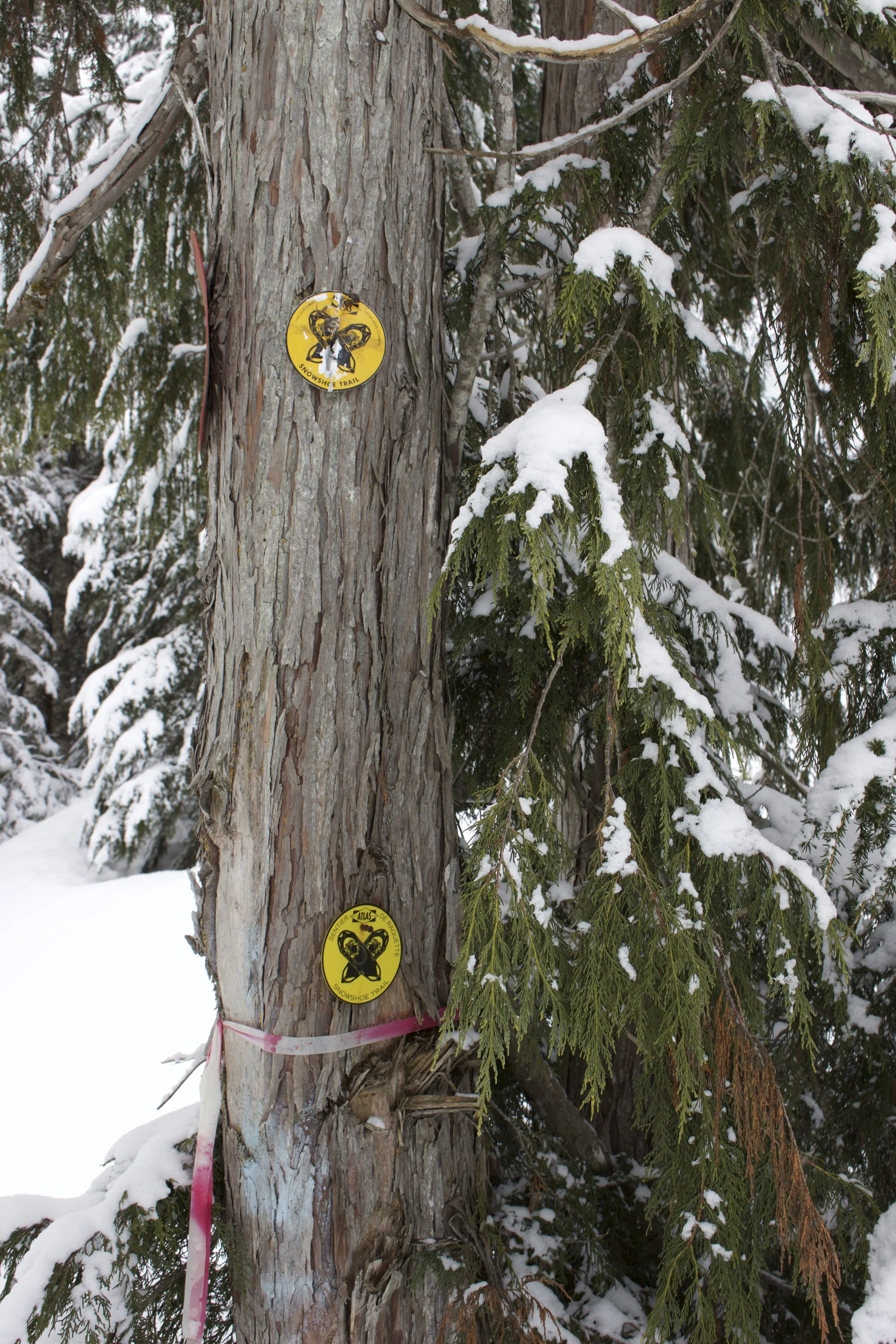 Markers on the trail