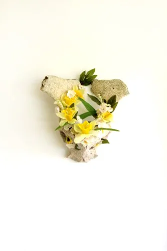 Wild Horse Pelvic Bouquet