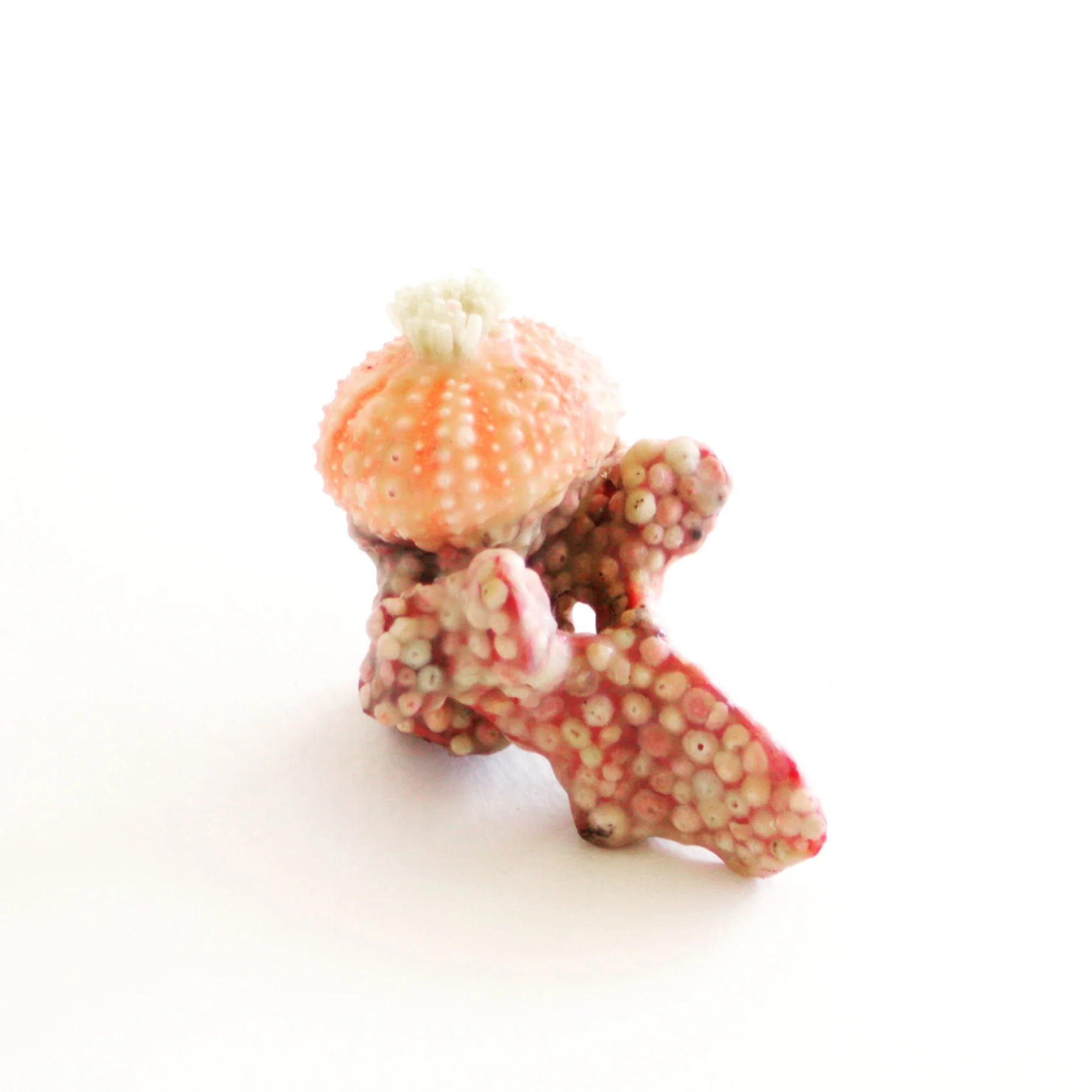 Pink Vertebrae